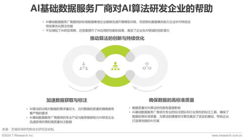 2024年中國AI基礎(chǔ)數(shù)據(jù)服務(wù)研究報(bào)告 聚焦工業(yè)互聯(lián)網(wǎng)數(shù)據(jù)服務(wù)